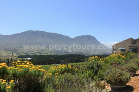 Wine Tours, Wineries and Wine Cellars, Hermanus, South Africa