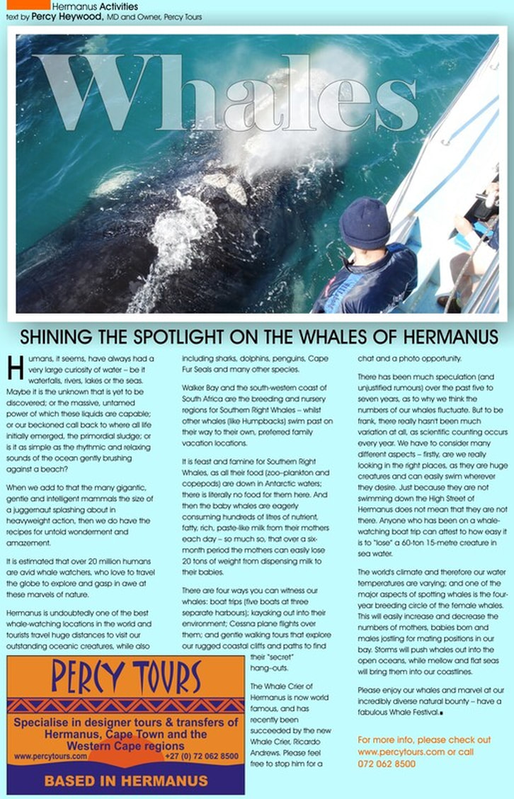 Whale watching in Hermanus article in Whale Talk magazine